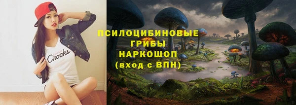 амф Мегион