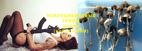 амф Мегион