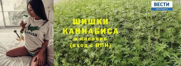 амф Мегион