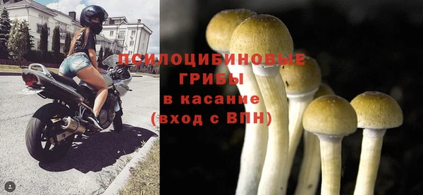 мяу мяу мука Михайлов